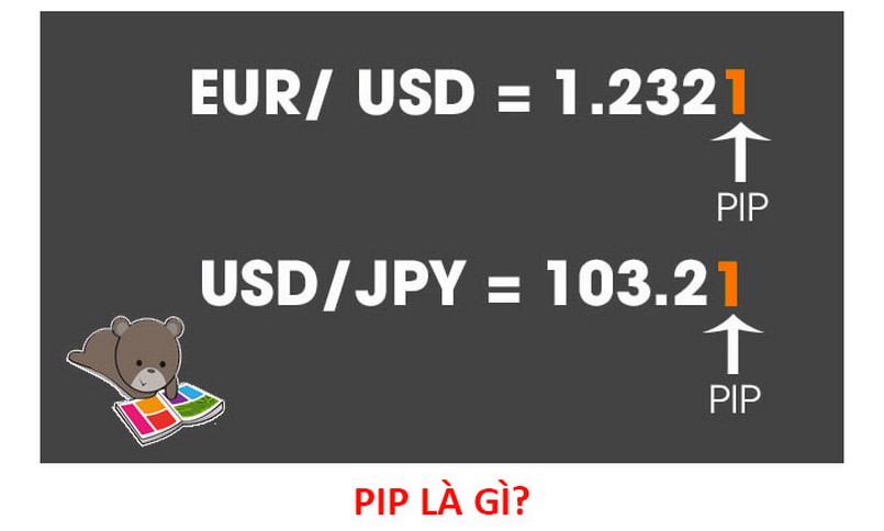 PIP là gì? Lot là gì? Cách tính Pip trong Forex